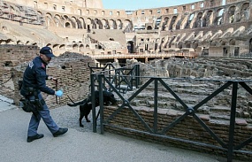 <p>Колизей не пострадал в итоге землетрясения в Италии</p>  