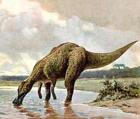 <p>Палеонтологи впервые заметили окаменелый мозг динозавра</p>  