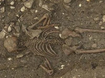 <p>В Швейцарии археологи заметили старинную могилу таинственного человека</p>  