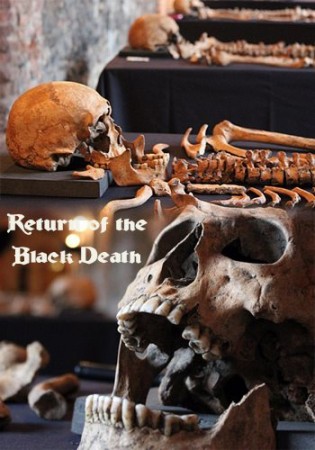 Разоблачение черноволосой смерти / Return of the Black Death  (2014)  