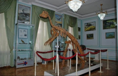 В Узбекистане отреставрировали уникальный костяк утконосого динозавра  