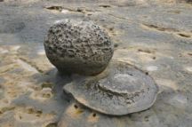 Каменная яйцекладка 2  