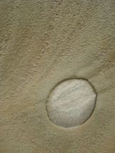 Каменная яйцекладка 1  
