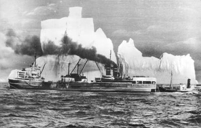 История советского китобойного флота  