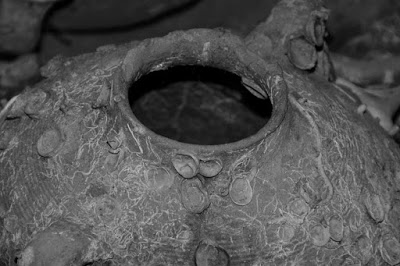 В Иерусалиме ученые отыщи амфору среднего бронзового века с обезглавленными лягушками  