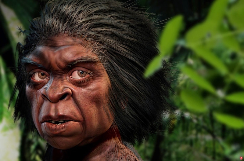 Палеонтологи разузнали, что люди впервые встретились с "хоббитами" 73 тысячи лет назад  