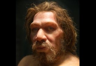 Ген неандертальца: у каких нынешних народов он есть  