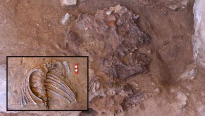 Рыли могилы, клали цветы: как погребали неандертальцы Рыли могилы, клали цветы: как погребали неандертальцы