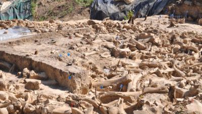 Сжигали внутри костры: под Воронежем найдена хижина из мамонтов Сжигали внутри костры: под Воронежем найдена хижина из мамонтов