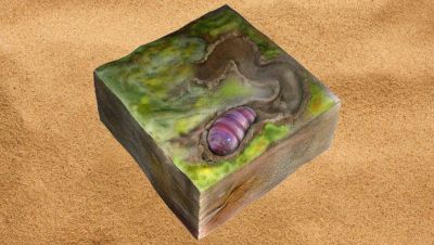 «Это наш родной»: найден предок всех животных «Это наш родной»: найден предок всех животных