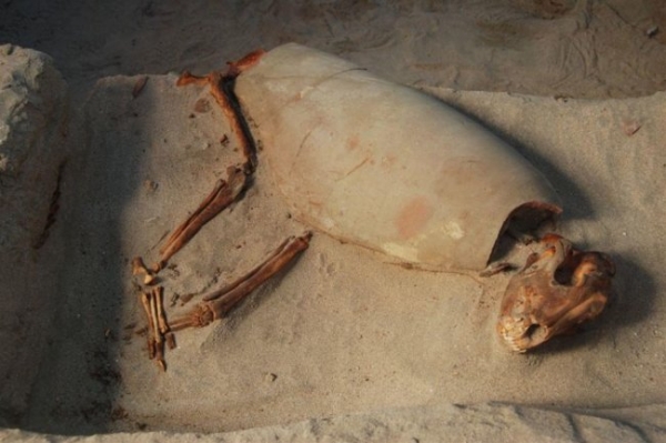 В Египте замечены необычные 2000-летние захоронения 