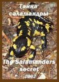 Секрет саламандры / Секрет саламандры / The Salamander's secret (2002) 