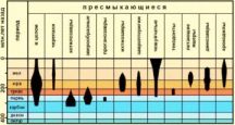 Дольная летопись совсем не такая, как пишут ортодоксальные историки  