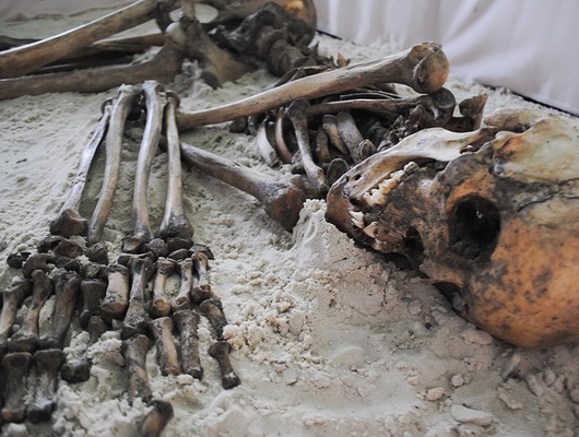 В Белгородской районы раскопали курган с захоронениями эпохи бронзы  