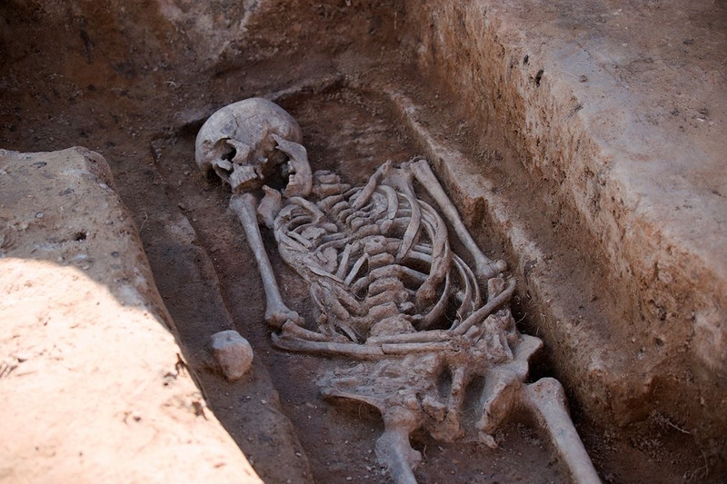На раскопках в Торжке археологи заметили средневековое кладбище  
