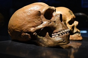 Ученые впервые смогли получить целый геном женщины-неандертальца  