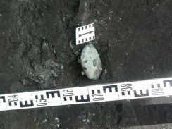 В Нательном Тагиле нашли редкий артефакт эпохи мезолита  
