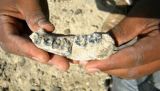 Археологи отыщи в Индонезии останки древнейшего рыболова на Земле  