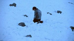 Стер ноги, но жив: охотник нашел туриста на перевале Дятлова  