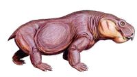 Ранние деды млекопитающих всё же бродили бок о бок с динозаврами 