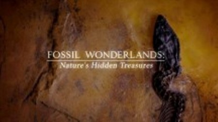Край ископаемых чудес  / Fossil Wonderlands (2014) 