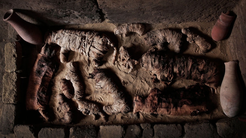 Лучше Книжки мертвых: мумии скарабеев взорвали научный мир 