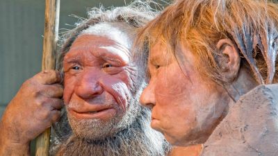 Возлюбленные и сожители: денисовцы делили кров с неандертальцами  