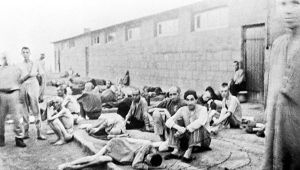 Как пленные союзники относились к советским бойцам, с которыми сидели в концлагерях  