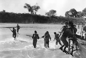 Как крокодилы воевали за «янки» в бою с японцами на острове Рамри  