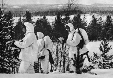 Зачем в 1944 году янки хотели переселить финнов на Аляску  