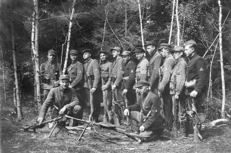"Великая чистка": война с литовскими "лесными братьями"  