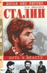 Аудиокнига: Юрий Емельянов. Сталин. Линия к власти слушать онлайн, скачать в мп3  