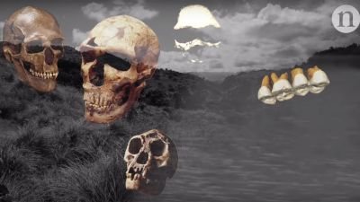 Человек лусонский: на Филиппинах отворён новый вид людей Человек лусонский: на Филиппинах отворён новый вид людей