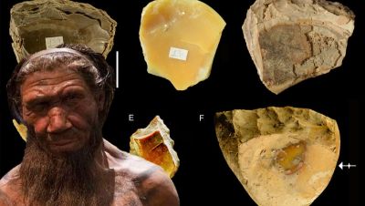 Первые дайверы: как неандертальцы ныряли за ракушками  