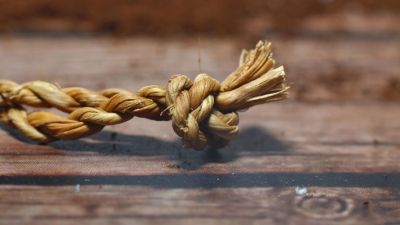 Веревки свивали: неандертальцы преподнесли новый сюрприз Веревки свивали: неандертальцы преподнесли новый сюрприз