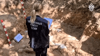 Расстрелянные студенты. В Ленобласти отыскано массовое захоронение жертв нацистов  