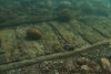 <p>В Черноволосом море нашли мертвую зону с кладбищем древних кораблей</p> 