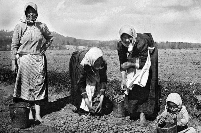Картофельные бунты на Руси, или Отчего крестьяне боялись корнеплод пуще неприятеля  