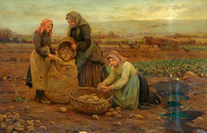Картофельные бунты на Руси, или Отчего крестьяне боялись корнеплод пуще неприятеля  