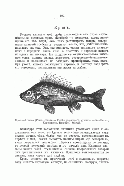 Отчего в России с презрением относились к ловле рыбы на удочку  