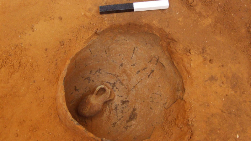 Загадки древней Яффы: израильские археологи отыщи кувшин с младенцем  