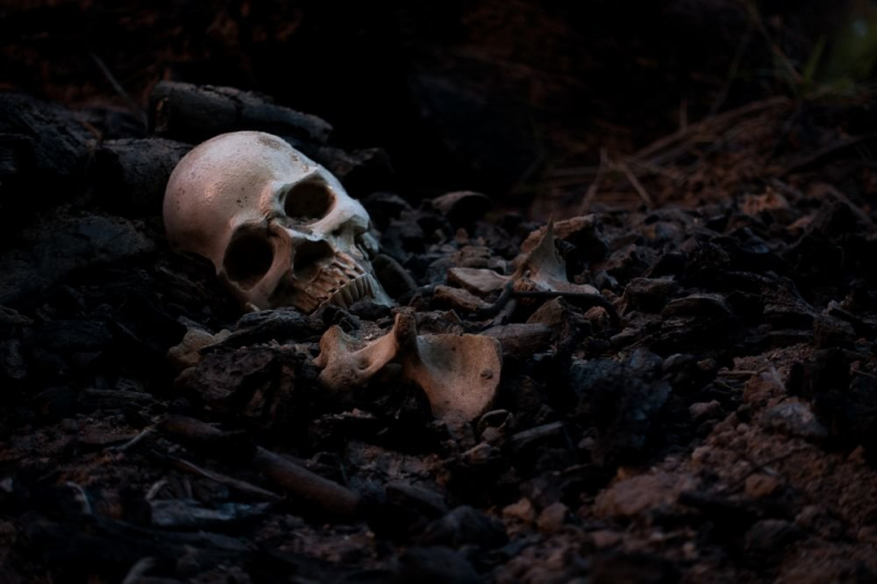 Открыта тайна загадочного 5000-летнего черепа 