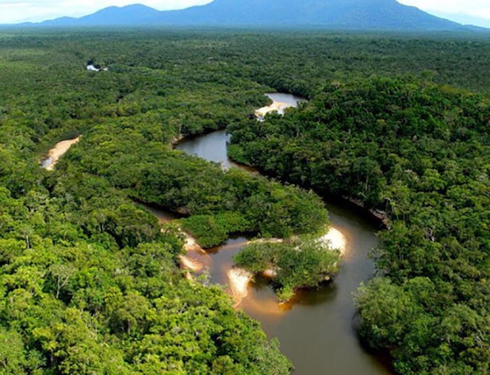 Какие секреты древних народов Амазонки раскрыли археологам космические деревни  