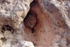 Древняя утес, словно разрезанная лазером и другие загадочные достопримечательности в пустыне Саудовской Аравии 