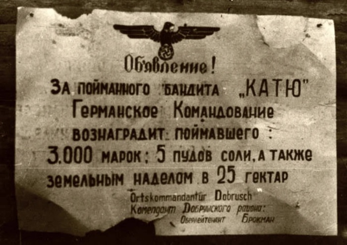 Гомельский «бандит Катя», или Отчего фашисты обещали за хрупкую девушку 3000 марок и надел земли  
