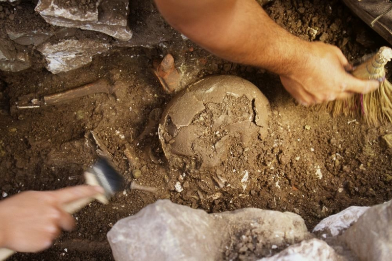 Археологи открыли тайну древнего черепа из пещеры в Италии  