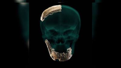 Археологи отыщи в Китае череп неизвестного ранее вида человека 