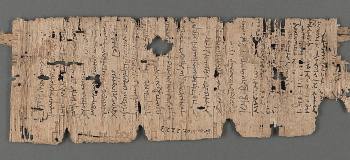 В чём секрет материала, на каком записывали библейские тексты: Забытая древняя технология изготовления папируса  