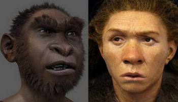 Отчего в исчезновении неандертальцев винят кроманьонцев 