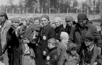 Блокада Ленинграда: ответственность за крах ленинградцев с Гитлером разделил Сталин  